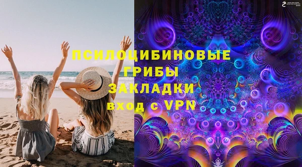 соль ск Алексин