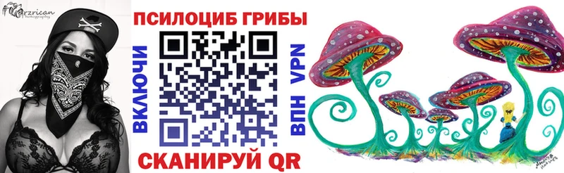 где найти mega Галлюциногенные грибы мухоморы Дмитриев